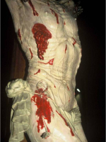 Dettagli Corpo
