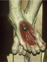 Dettagli Corpo 3