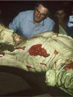 Esposizione Crocifisso Ferentino 2